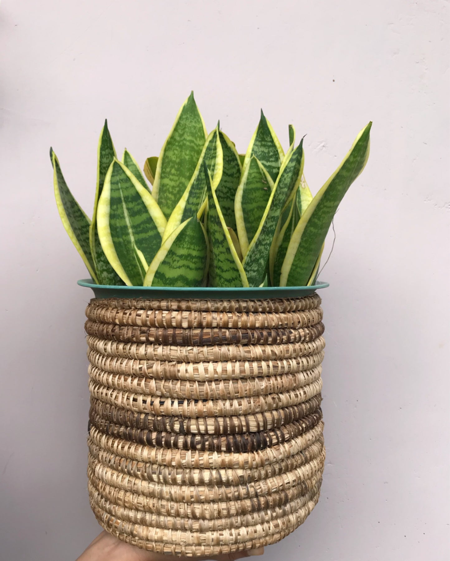 BANANA BARK MULTI-USE BASKET/PLANTER