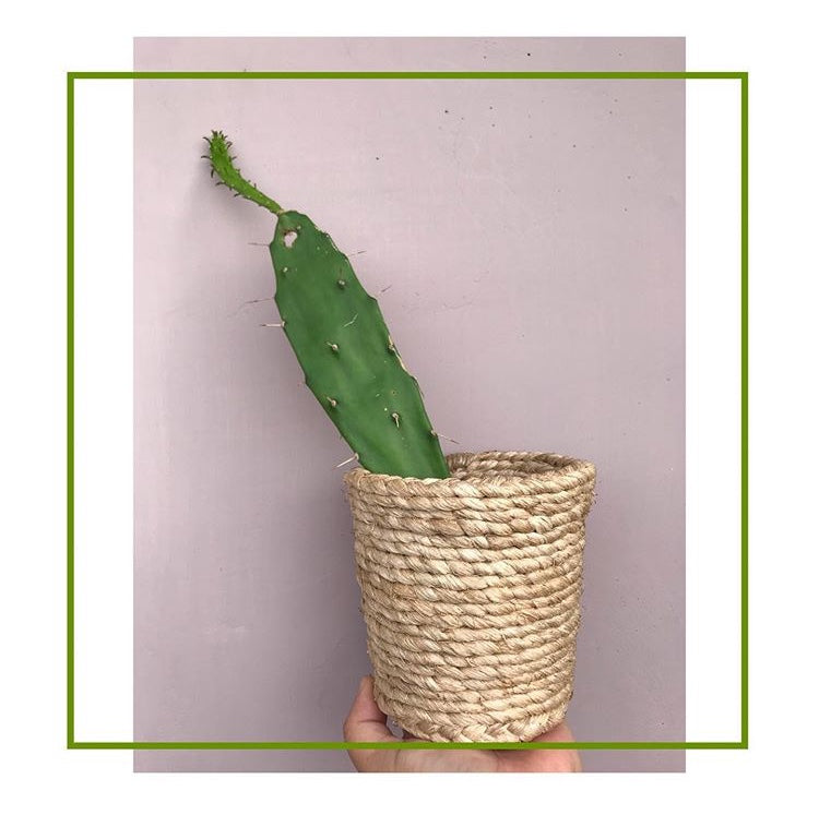 Banana Fibre Utility Basket