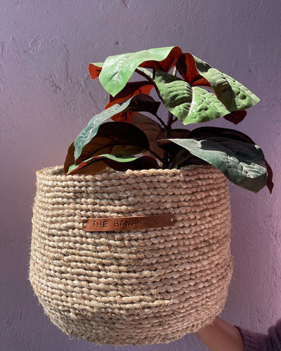 Banana fibre multi-use basket/planter